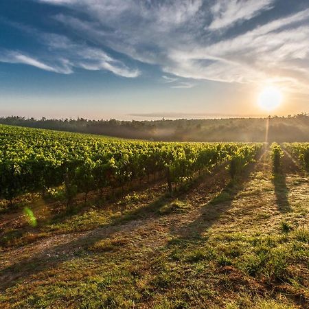شقة Il Palco Montepulciano, Vista Incredibile, 150Mt Da Piazza Grande المظهر الخارجي الصورة