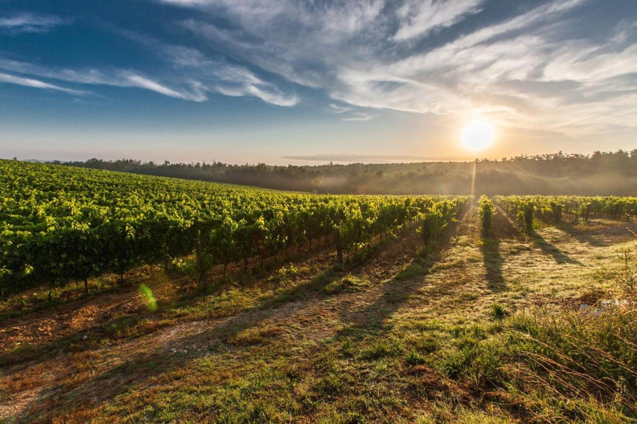 شقة Il Palco Montepulciano, Vista Incredibile, 150Mt Da Piazza Grande المظهر الخارجي الصورة